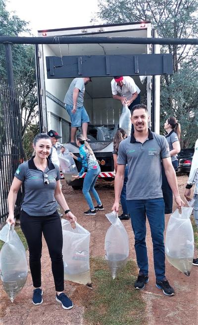 Sicredi e ASPE promovem a soltura de 12 mil alevinos no alagado de Rio Bonito do IguaÃ§u